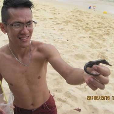 Tổng hợp- Quán Ăn Biên Hải Quán - Hải Sản Bờ Biển