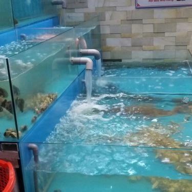 Tổng hợp- Nhà Hàng Bin Anh Em Restaurant - Đặc Sản Ba Miền