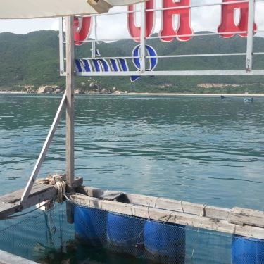 Tổng hợp- Quán Ăn Nhà Bè Bình Hưng Quán