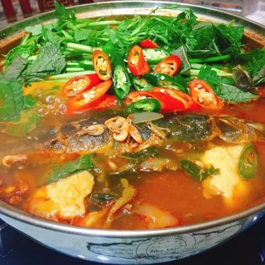 Tổng hợp- Quán Ăn Birdy - Ẩm Thực Hàn Quốc