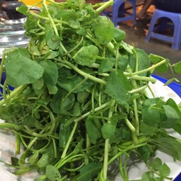 Tổng hợp- Quán Ăn Bùm Boy - Bò & Cơm Tấm Sườn Que