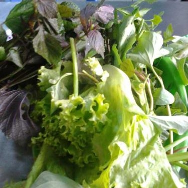 Món ăn- Quán Ăn Bò Lá Lốt - Bà Triệu