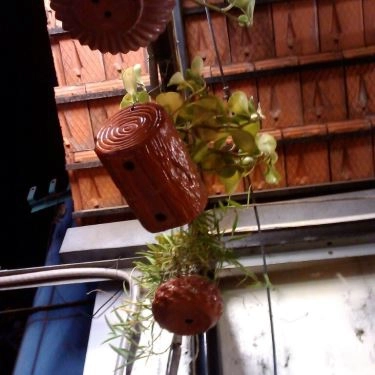 Tổng hợp- Quán Ăn Bò Né 2 Chị Em - Đường D2
