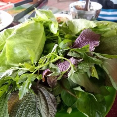 Tổng hợp- Quán Ăn Bảy Biệm - Bò Tơ