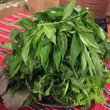 Tổng hợp- Quán Ăn Bò Tơ Hồng Đào 2