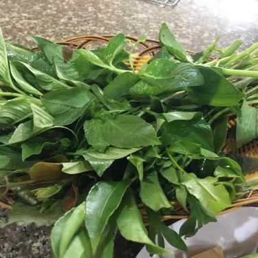Tổng hợp- Quán Ăn Bò Tơ Tây Ninh Năm Sánh