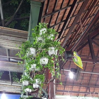 Tổng hợp- Quán Ăn Bò Tơ Năm Sánh Quyết Thắng - Tây Thạnh