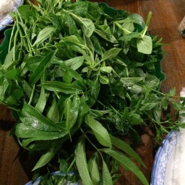 Tổng hợp- Quán Ăn Bò Tơ Vĩnh Xuân