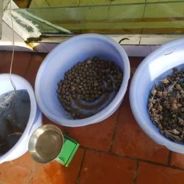 Tổng hợp- Bon Bon Quán - Ẩm Thực Dân Tộc