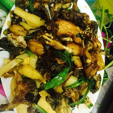 Món ăn- Quán Ăn Bốp Bin - Lẩu Ếch