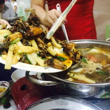 Món ăn- Quán Ăn Bốp Bin - Lẩu Ếch