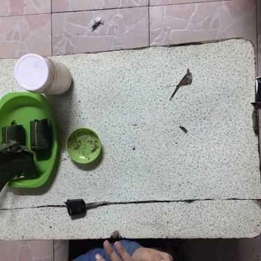 Tổng hợp- Quán Ăn Bánh Lọc Chiên - Thạch Hãn