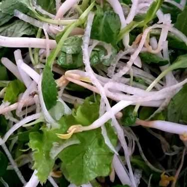Món ăn- Quán Ăn Bún Bò Bà Thủy - Nguyễn Công Trứ