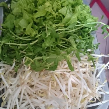 Tổng hợp- Quán Ăn Bún Bò Cay Bạc Liêu - Nguyễn Trọng Tuyển