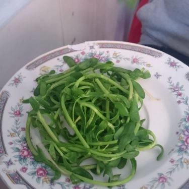 Tổng hợp- Quán Ăn Bún Bò Cay Bạc Liêu - Nguyễn Trọng Tuyển