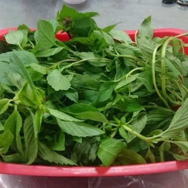 Tổng hợp- Quán Ăn Bún Bò Chú Há