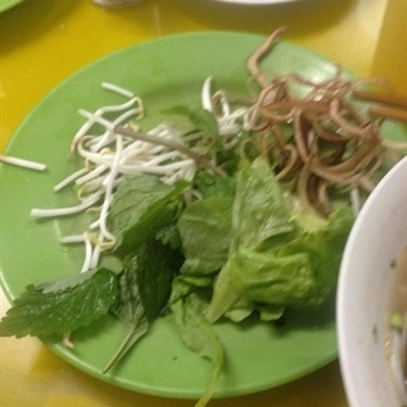 Tổng hợp- Quán Ăn O Hiền - Bún Bò Huế & Lẩu Đuôi Bò - Tô Hiệu