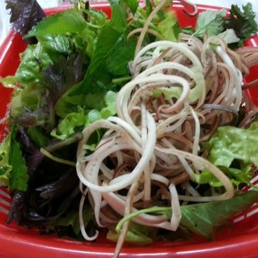 Tổng hợp- Quán Ăn Bún Bò Nam Bộ - Lạc Trung