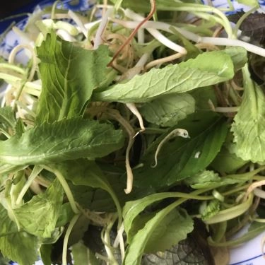 Tổng hợp- Quán Ăn Bún Bò Ngoại Nấu