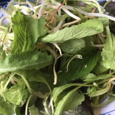 Tổng hợp- Quán Ăn Bún Bò Ngoại Nấu