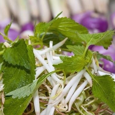 Tổng hợp- Quán Ăn Bún Bò Thiên Kim