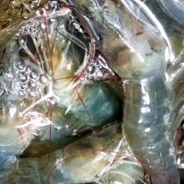 Tổng hợp- Quán Ăn Bún Cá Lam Sơn - Kinh Dương Vương