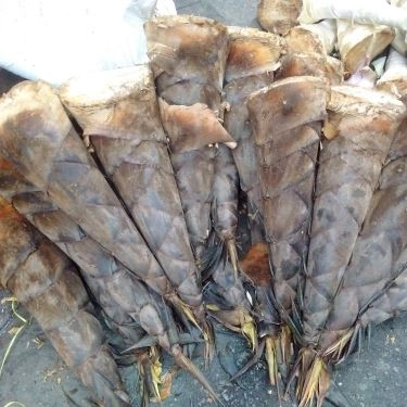 Tổng hợp- Quán Ăn Bún Cá Rô Đồng Hoàng Cúc