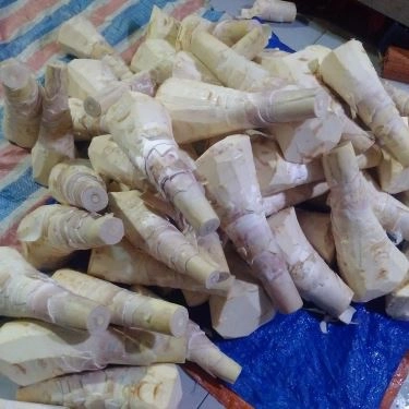 Tổng hợp- Quán Ăn Bún Cá Rô Đồng Hoàng Cúc