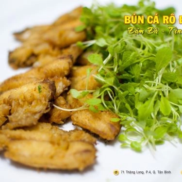 Tổng hợp- Quán Ăn Bún Cá Rô Đồng Hoàng Cúc
