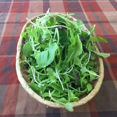 Món ăn- Quán Ăn Bún Cá Rô Đồng Hoàng Cúc - Lý Chính Thắng