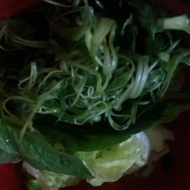 Tổng hợp- Quán Ăn Ánh Hồng - Bún Chả Hàng Mành Hà Nội - Lý Chính Thắng