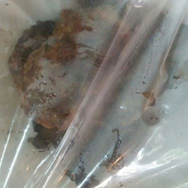 Tổng hợp- Quán Ăn Ánh Hồng - Bún Chả Hàng Mành Hà Nội - Lý Chính Thắng