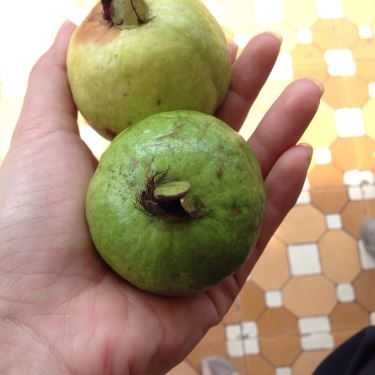 Tổng hợp- Quán Ăn Bún Chả Cá O Bơn