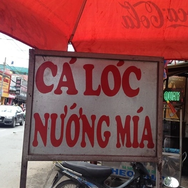 Tổng hợp- Quán Ăn Bún Chả Cá Quy Nhơn - Cá Lóc Nướng Mía