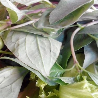 Món ăn- Quán Ăn Quán Đồng Xuân - Bún Chả Hà Nội
