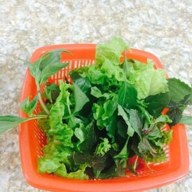 Tổng hợp- Quán Ăn Tiệm Ăn Thanh Nga - Ẩm Thực Miền Bắc