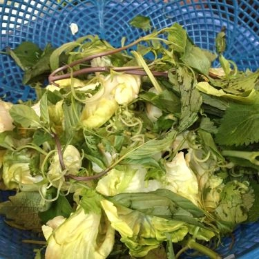 Tổng hợp- Quán Ăn Bún Chả Hồ Gươm - Bún Chả Hà Nội - Trần Phú