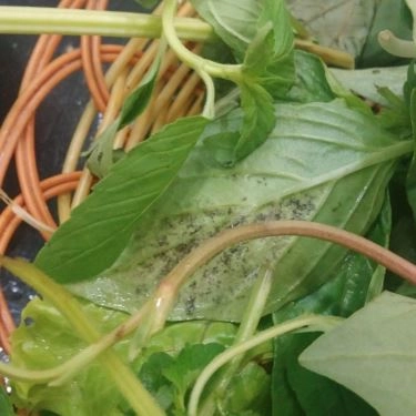 Tổng hợp- Quán Ăn Bún Chả Phố Cổ - Phan Xích Long