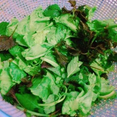 Tổng hợp- Quán Ăn Bún Chả Pháo - Vũ Thạnh