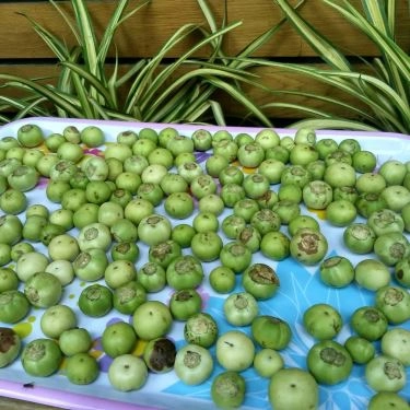 Tổng hợp- Quán Ăn Bún Đậu Hùng Cường