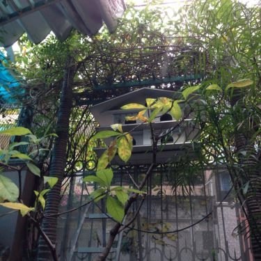Tổng hợp- Quán Ăn Bún Đậu Mắm Tôm Cô Thường - Hải Phòng