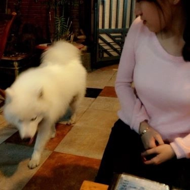 Tổng hợp- Quán Ăn Bún Đậu Mắm Tôm Cô Thường - Hải Phòng
