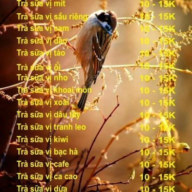 Thực đơn- Quán Ăn Bún Đậu Mắm Tôm & Chè Sài Gòn - Hồ Tùng Mậu