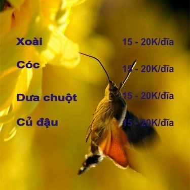 Thực đơn- Quán Ăn Bún Đậu Mắm Tôm & Chè Sài Gòn - Hồ Tùng Mậu