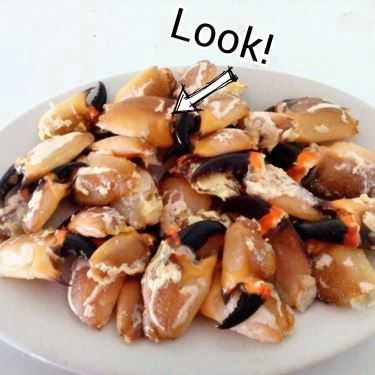 Món ăn- Quang Dung - Bún Hải Sản