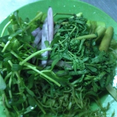 Tổng hợp- Quán Ăn Bún Mắm Cô Ba - Đường Số 3