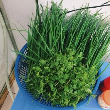 Món ăn- Quán Ăn Bún Mọc Chân Giò - Nghĩa Tân
