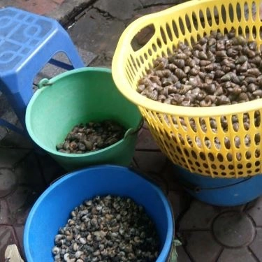 Tổng hợp- Quán Ăn Bún Ốc 24 - Lê Lợi