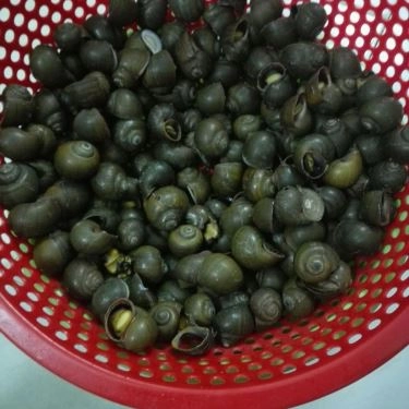 Món ăn- Quán Ăn Bún Ốc Chợ Ga