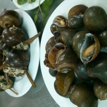 Tổng hợp- Quán Ăn Bún Ốc Riêu Cua Thanh Hải